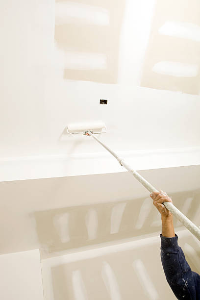 Best Mold Damage Restoration  in Glen Alpine, NC