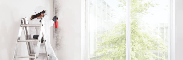 Best Mold Removal for HVAC Installations  in Glen Alpine, NC